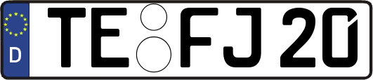TE-FJ20
