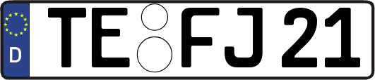 TE-FJ21