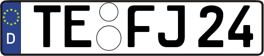 TE-FJ24