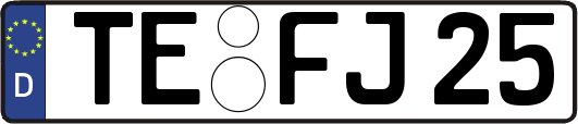 TE-FJ25