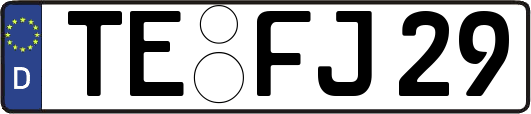 TE-FJ29