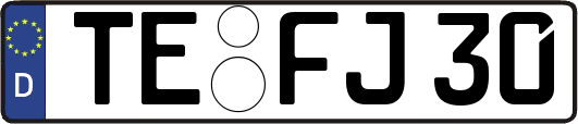 TE-FJ30