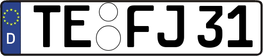 TE-FJ31
