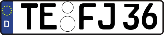 TE-FJ36