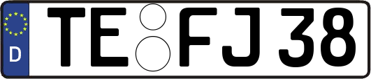 TE-FJ38