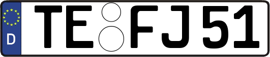 TE-FJ51