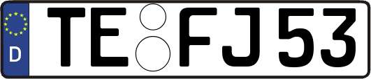 TE-FJ53