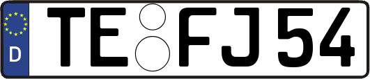 TE-FJ54