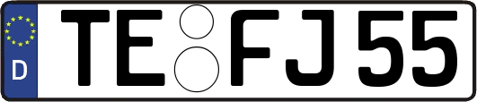 TE-FJ55