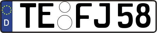 TE-FJ58