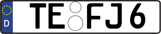 TE-FJ6