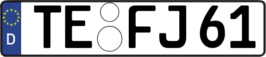 TE-FJ61