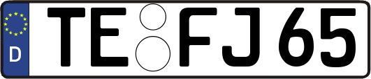 TE-FJ65
