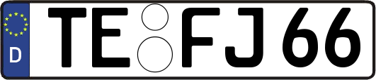 TE-FJ66