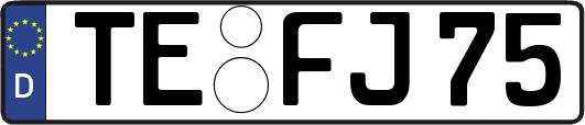 TE-FJ75