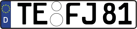 TE-FJ81