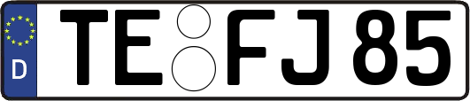 TE-FJ85