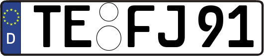 TE-FJ91