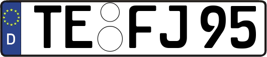 TE-FJ95