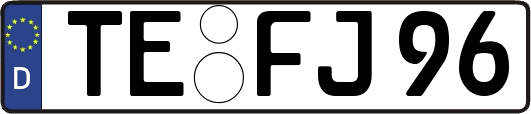 TE-FJ96