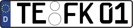 TE-FK01