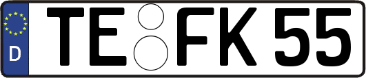 TE-FK55