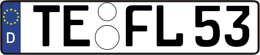 TE-FL53