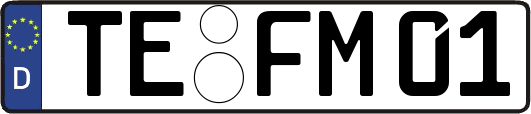 TE-FM01