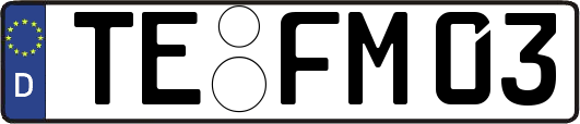 TE-FM03
