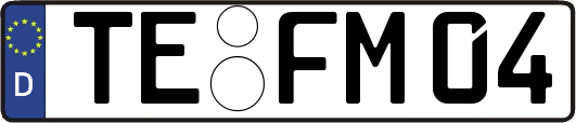 TE-FM04