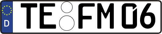 TE-FM06