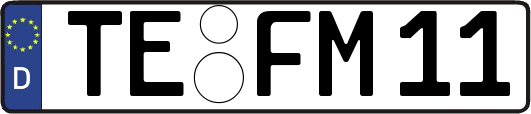 TE-FM11