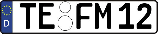 TE-FM12