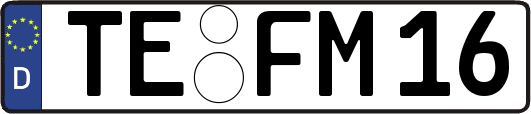 TE-FM16
