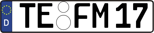 TE-FM17