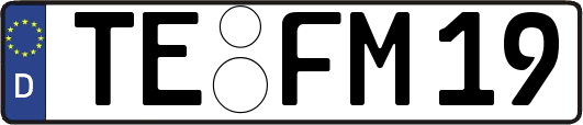 TE-FM19