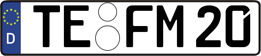 TE-FM20