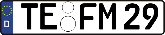 TE-FM29