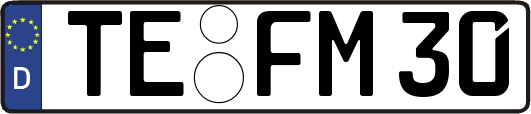 TE-FM30