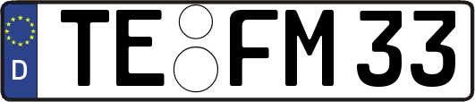TE-FM33
