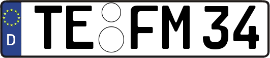 TE-FM34