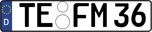 TE-FM36