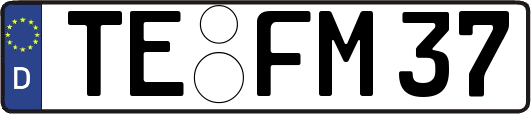 TE-FM37