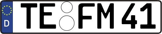 TE-FM41