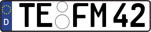 TE-FM42