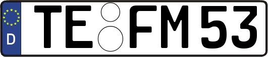 TE-FM53