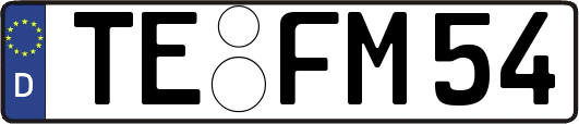 TE-FM54