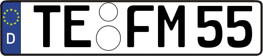 TE-FM55