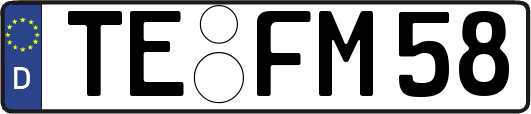 TE-FM58
