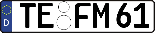 TE-FM61